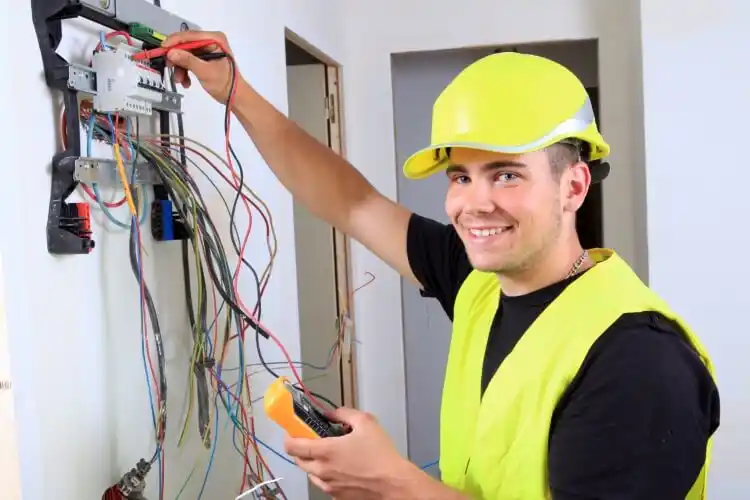 elektricien Frieschepalen